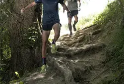 trail saint léonard