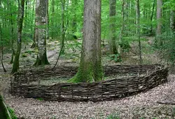 forêt de Bercé en images