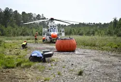 campagne de prévention des feux de forêt 