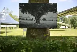 saison 2024 de la photographie à l'abbaye royale de l'Épau