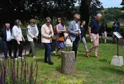biennale culturelle été 2024