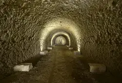 Visite de la Maison "Voyages et vignes en Vallée du Loir"