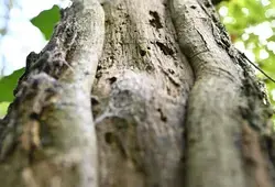 Géoparc Normandie-Maine : la Sarthe au coeur d’un trésor mondial