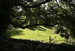 Géoparc Normandie-Maine : la Sarthe au coeur d’un trésor mondial