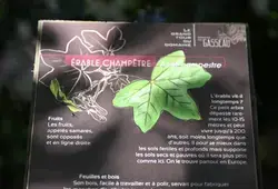 Géoparc Normandie-Maine : la Sarthe au coeur d’un trésor mondial