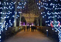 Illuminations Epau