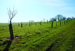 Journée mondiale du climat, le Département s’engage pour une Sarthe durable