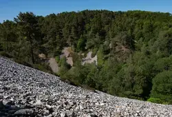 Journée internationale des guides touristiques : les trésors de la Sarthe