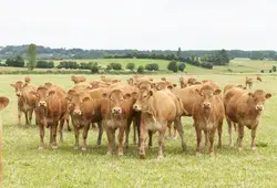 La Sarthe côté Nature