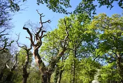 La Sarthe côté Nature