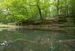 La Sarthe côté Nature