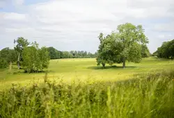 La Sarthe côté Nature