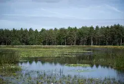 La Sarthe côté Nature