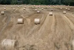 La Sarthe côté Nature