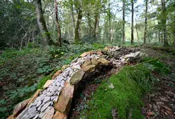 La Sarthe côté Nature