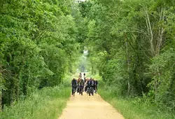 Une nouvelle voie verte relie La-Suze-sur-Sarthe à La Flèche