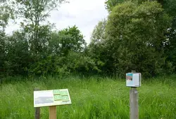La Prée d'Amont à Vaas : un Espace Naturel Sensible à découvrir ou redécouvrir