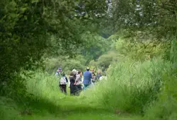 La Prée d'Amont à Vaas : un Espace Naturel Sensible à découvrir ou redécouvrir