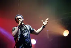 Les concerts sur le circuit