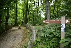 Deux nouveaux itinéraires de trail permanents au départ de Sillé-le-Guillaume !