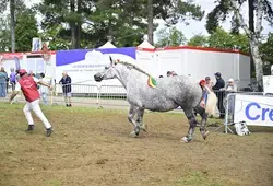Inauguration de l'espace agricole de la Foire du Mans