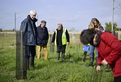 Le Département contribue à la reconstruction du bocage sarthois