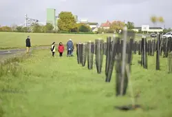 Le Département contribue à la reconstruction du bocage sarthois