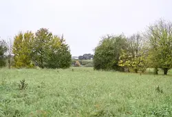 Le Département contribue à la reconstruction du bocage sarthois