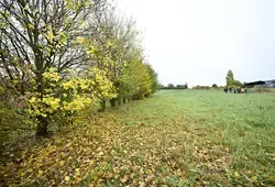 Le Département contribue à la reconstruction du bocage sarthois