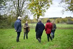 Le Département contribue à la reconstruction du bocage sarthois