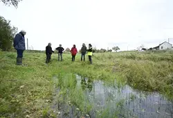 Le Département contribue à la reconstruction du bocage sarthois