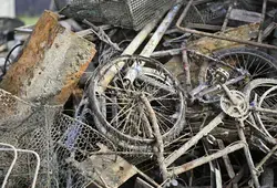 Les écourues 2025 ont commencé en Sarthe !