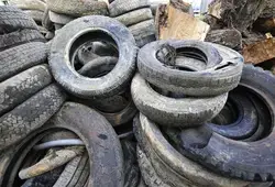 Les écourues 2025 ont commencé en Sarthe !