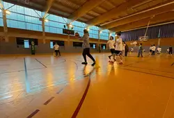 Des jeunes du Monfort sport basket ont rencontré des joueurs du MSB