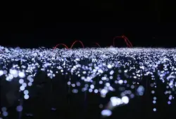 Illuminations de l’Abbaye Royale de l’Épau