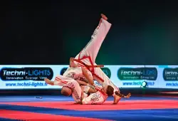 100 % Martial : la nuit des arts martiaux et des sports de combat - Photos CD72