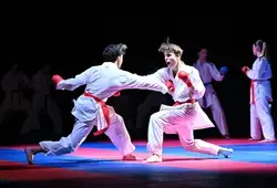 100 % Martial : la nuit des arts martiaux et des sports de combat - Photos CD72