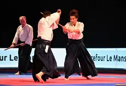 100 % Martial : la nuit des arts martiaux et des sports de combat - Photos CD72