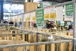 Retour en images sur le Salon International de l'Agriculture