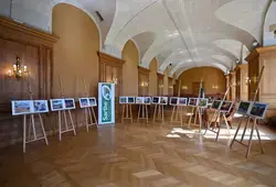 Découvrez la 8e exposition de la Sarthe dans l'œil des Instagramers