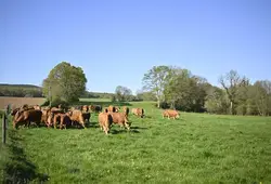 Le Département valorise les richesses de l'agriculture sarthoise