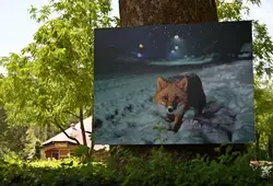 Un parcours photographique à ciel ouvert débute à l'Abbaye Royale de l'Épau