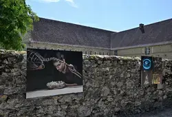 Un parcours photographique à ciel ouvert débute à l'Abbaye Royale de l'Épau