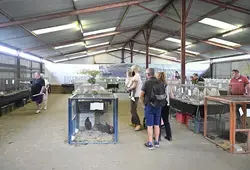 Inauguration de l'espace agricole de la Foire du Mans