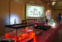 Retour sur le Village des Sciences de l'Abbaye