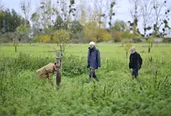 Le Département contribue à la reconstruction du bocage sarthois Le Département contribue à la reconstruction du bocage sarthois
