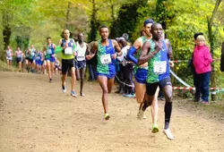 Cross Le Maine Libre Allonnes Sarthe - La course des As hommes