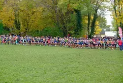 Cross Le Maine Libre Allonnes Sarthe - La course des As hommes