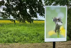 « Itinérance » : la biennale qui bouge en Sarthe ! – Saison 2