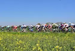 CCSPDL : Gougeard lumineux à Pré-en-Pail